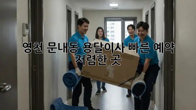 영천 문내동 용달이사 빠른 예약 & 저렴한 곳! 💸
