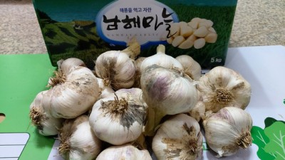밥도둑 경고! 남해 마늘장아찌 솔직 후기 & 꿀팁 대방출 ✨